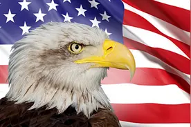 白头鹰成为美国国鸟，法国国鸟是雄鸡，中国国鸟是谁？却少为人知图片