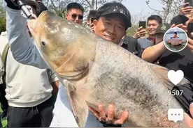 鲢鳙仔将一统钓鱼江湖图片