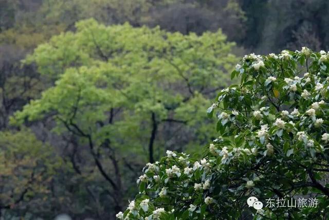 新发现小九寨！旷野徒步线路天花板，关闭8年终于开放！周末带娃冲！