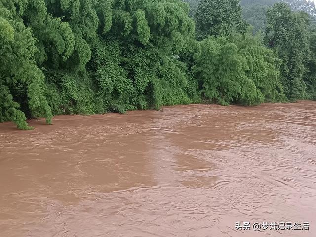 70多岁的老娘像个拼命三郎,一个人在雨天漫步拥抱大自然感觉不错