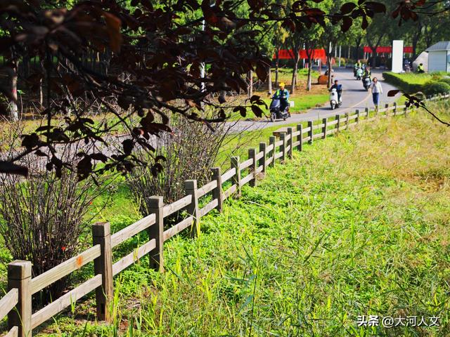 焦作生态植物园：限定浪漫，只有秋日