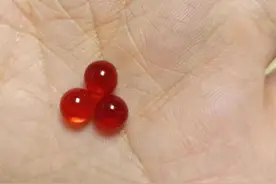 蜈蚣珠:憋宝人眼里真正的宝珠，麝香狗宝龙涎香都得靠边站图片