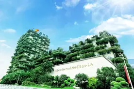 这一枪开的好！“恒大”许老板被抓，拯救了很多“碧桂园”购房者图片