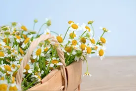 为啥很多男人离婚了，孩子一旦归前妻抚养，就不再喜欢这个孩子了图片