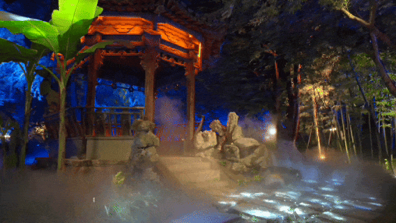 乌镇全新夜游体验，《入梦灵水居》