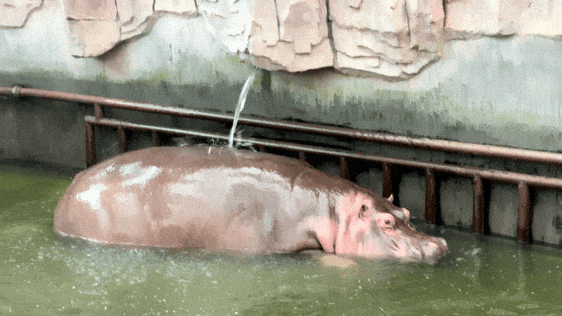 又美又可爱的西海岸！总要来一次！