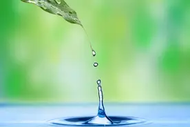 笑喷了，炎热的夏天，小狗喝水居然是这样操作的，笑死在评论区图片