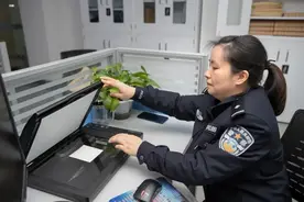 杨小宇是如何成功从辅警转为正式民警的图片