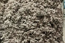 钛这东西，真的像大家所说的很安全吗？它的缺点在哪里？图片