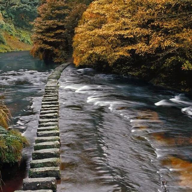 带爸妈出发！邛崃银发康养游线路来啦~