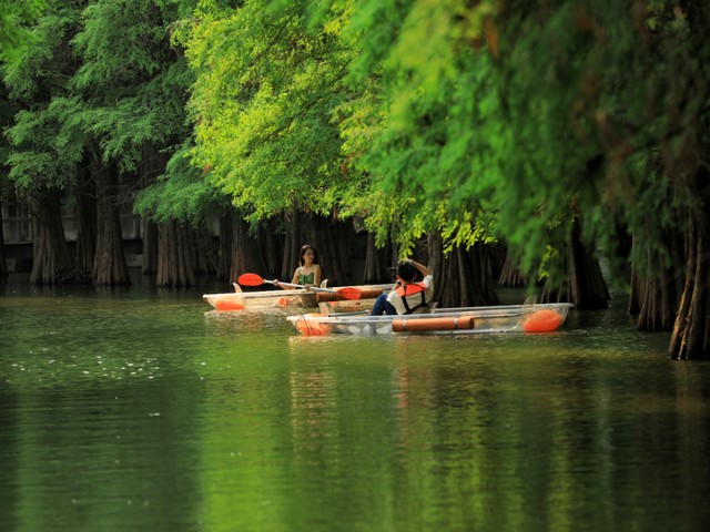 免门票！近2万名江门人游肇庆星湖！