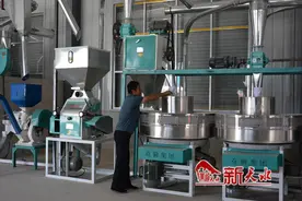 【锚定现代化 改革再深化】 农产品“小车间”撬动乡村振兴大发展图片