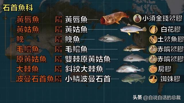 二十年的老鱼胶 2026年30年老鱼胶