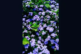 藏在典故里的中国密码：这些历史故事让你读懂五千年图片