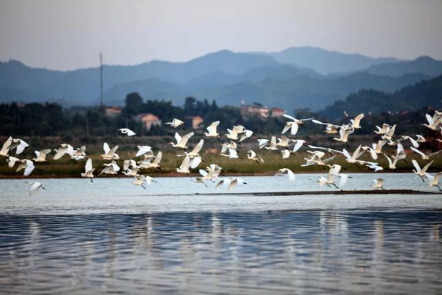 4A级旅游景区 凭火车票半价