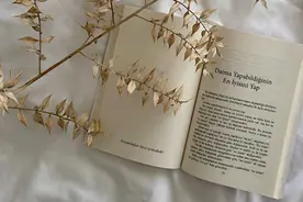 读书，能解决人生80%的烦恼（深度好文）图片