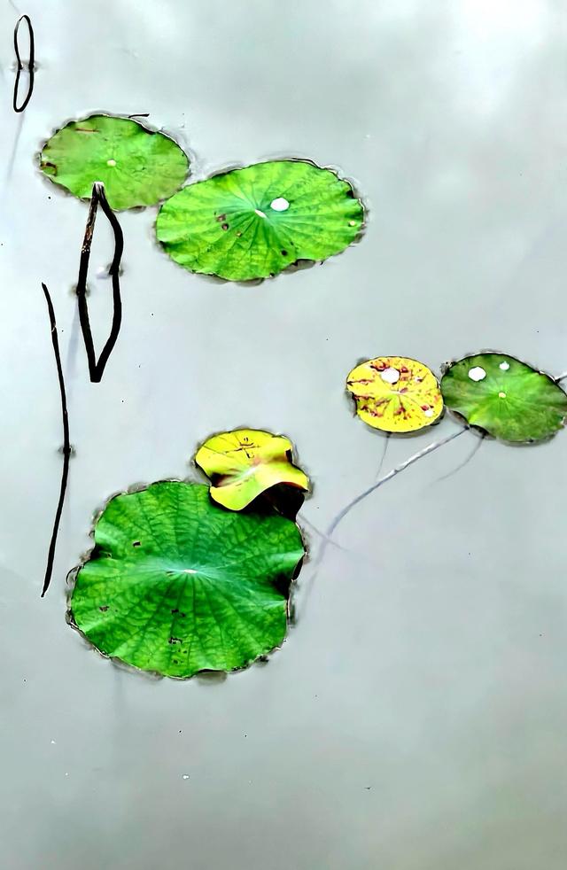 又回海南天来泉