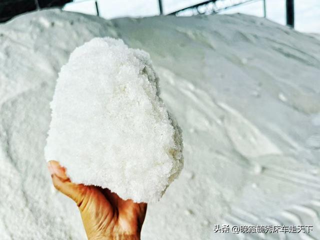 海南的蹉跎岁月——没有白走的路，也没有意外的伤