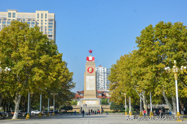 芦花不够看？江滩的银杏已经美疯了！