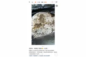网友在威海旅游捡到疑似龙涎香，价值800万？业内人士：需鉴定图片