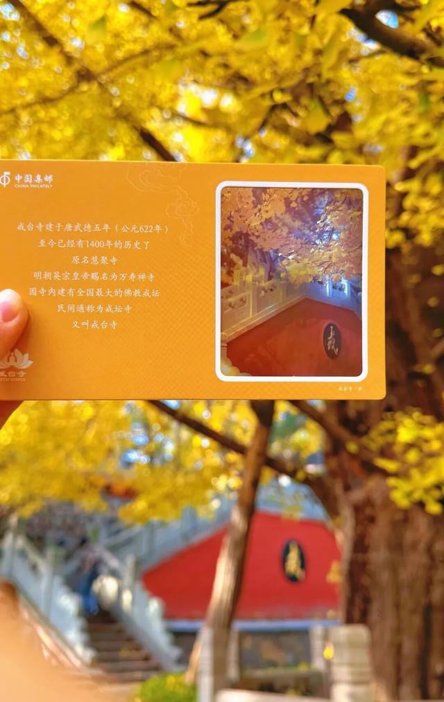 避开人从众！门头沟这里的秋，人少景美，一秒治愈！