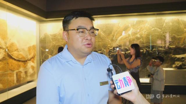 贵州避暑游博物馆成热门打卡地，省博预约排到了三天后