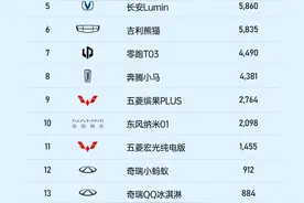 变天了，10万以下纯电车销量榜，比亚迪丢冠，五菱落榜，冠军是它图片
