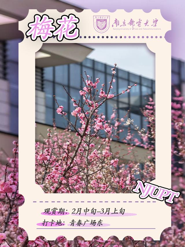 花开正好，风也温柔，来南邮仙林校区赴一场春日之约吧！