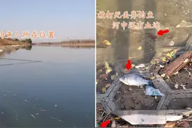 太可惜了！广东出现“射鱼党”，把鱼打死后却到处丢图片