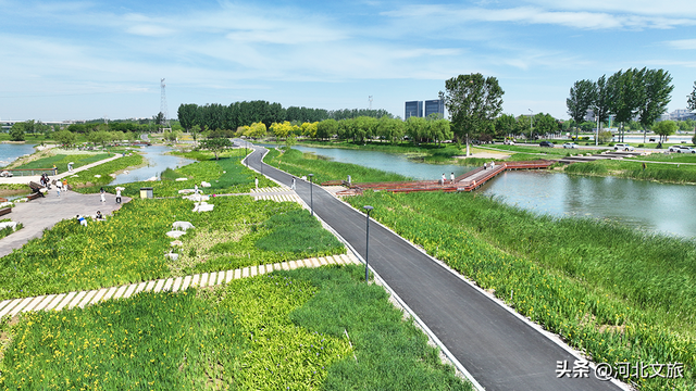 亲水观景！滹沱河晓月湖湿地提升后美爆了
