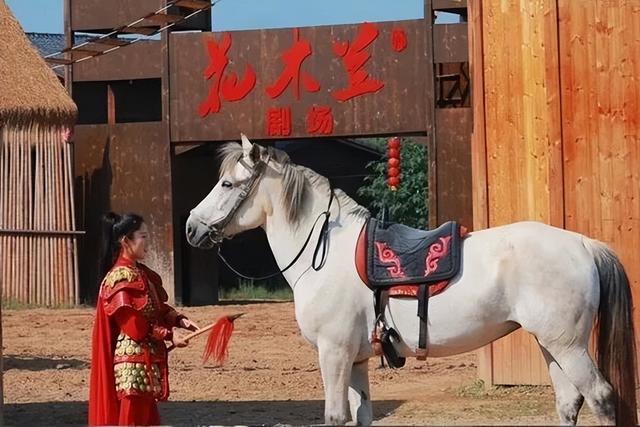 花期已至，快带妈冲！花海乐园免费玩也太香了