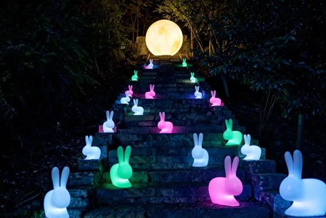 享暖冬 60+节目轮番上演！红花岗区跨年活动来咯~