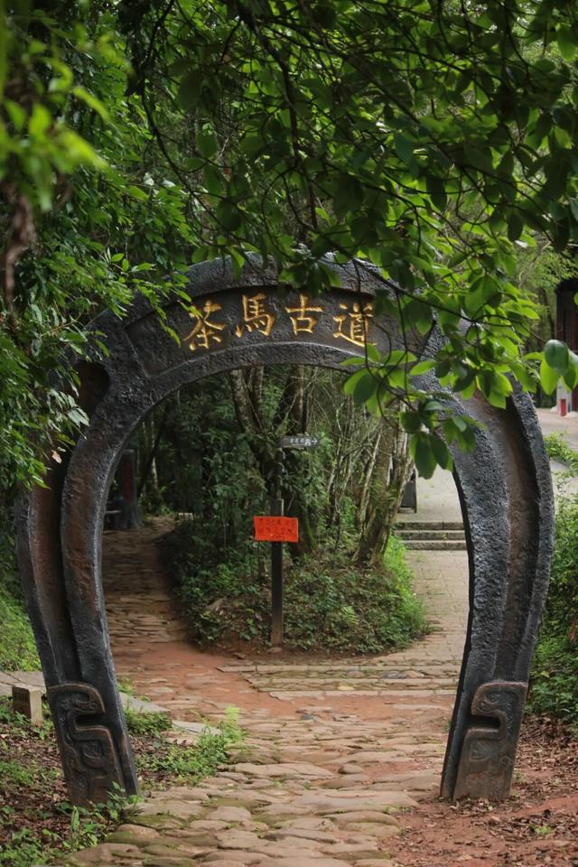 当千年茶马古道成为年轻人的治愈坐标 | 有一种叫云南的生活