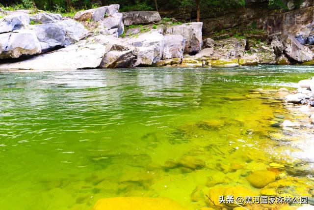 西安人注意！秋天别宅了！自驾2h直达“神仙氧吧”！