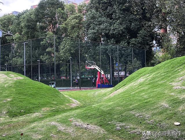 成都公园难得一见的旷野之景，画面超级唯美，地铁公交到达！