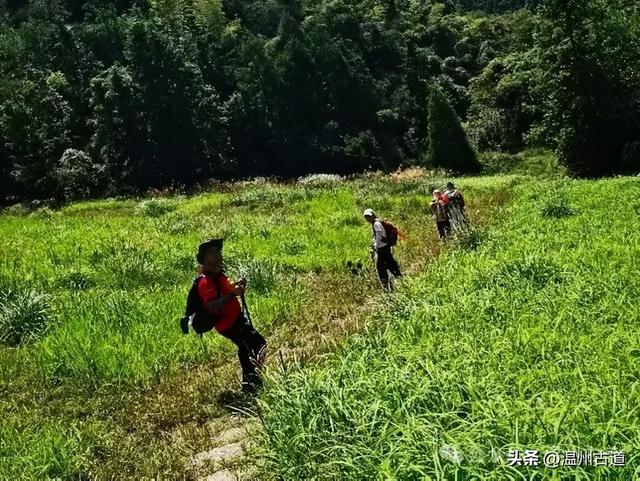 生活无解，户外撒野！温州大罗山23水库徒步你在现场吗？