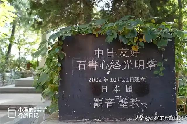 老西安私藏的赏秋秘境，免费、人少、秋色绝美！