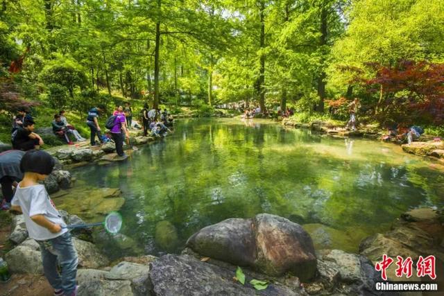 人这一辈子，一定要去爬一趟金华山！