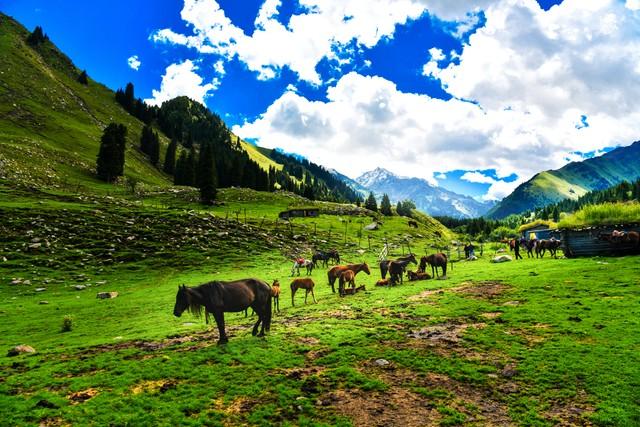 中国这10个热门徒步线路，去过5个算徒步达人，全部去过算你牛！