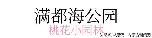 呼和浩特赏花攻略：最佳地点+公交出行指南