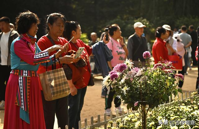 百花园金秋菊展人气爆棚，国庆前两日游人如织共赴花漾之约
