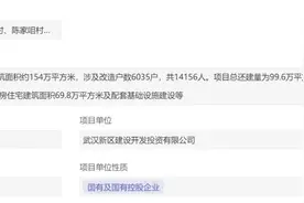重磅！武汉一大批地方要拆，快来看看有没有你家！图片