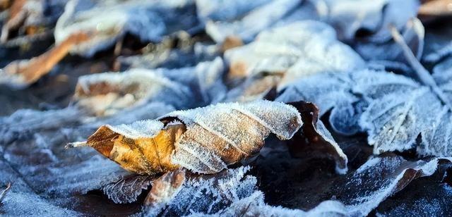 这不是迷信！“最怕立冬是雨天”，今日立冬，下雨啥预兆？