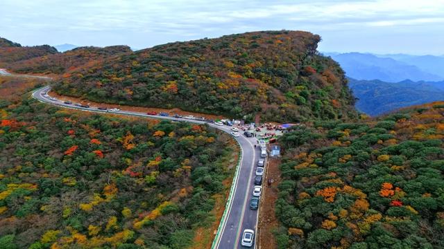 昨日实拍！层林尽染盐井峡，漫山红叶醉秋风，观赏正当时