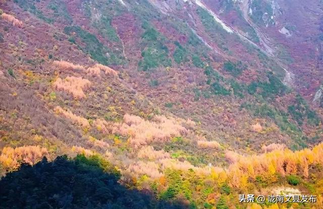 文县天池的秋，是上帝打翻的调色盘！