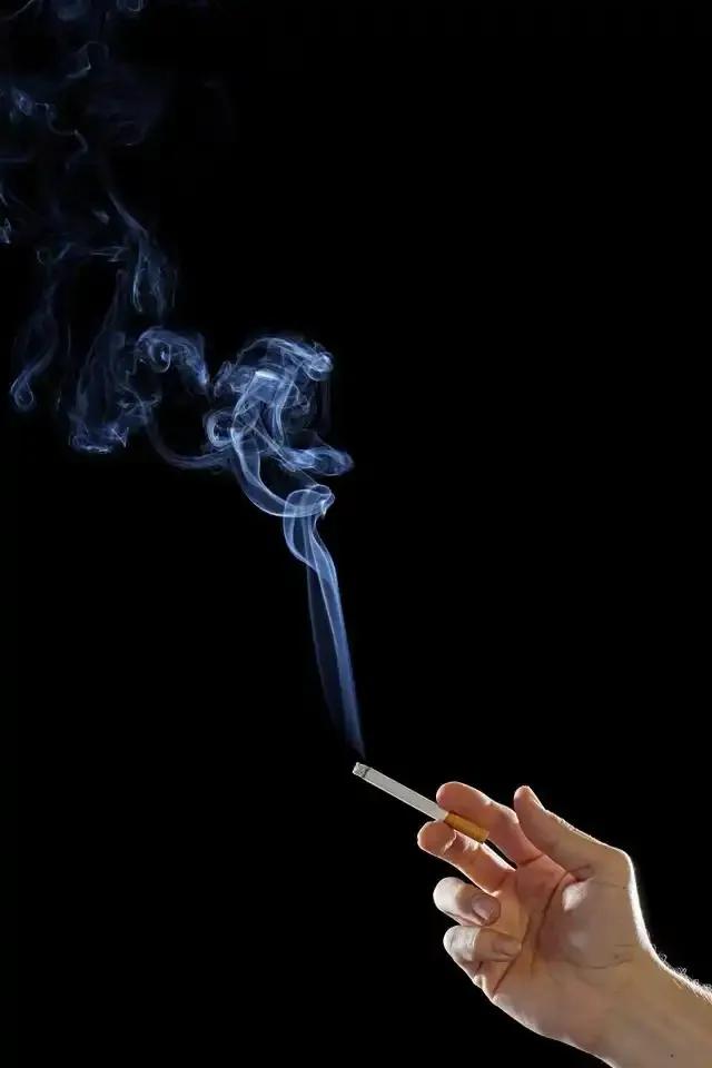 生命的真正起跑线：从孕前开始的健康守护