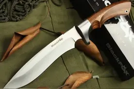 世界上最厉害的10种冷兵器,最贵一款价值百万,中国名刀失传却霸榜图片