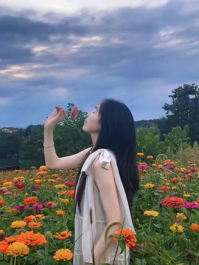 包出片！仁怀秋日花海惊艳上线🤩