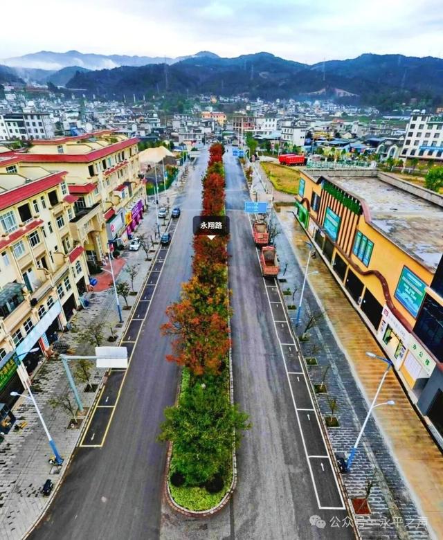 永平楷(jiē)木大道,邀您邂逅冬日“楷(kǎi)模”风骨!