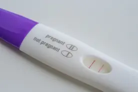 “一深一浅”到底怀没怀？护士长揭秘早孕诊断的4个细节！图片